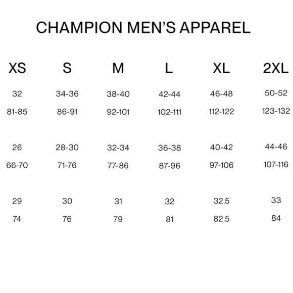 NWT Men's Champion Powerblend Fleece Graphic Pullover Hoodie in White Size XXL - Picture 6 of 7